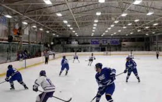 a group of people playing hockey