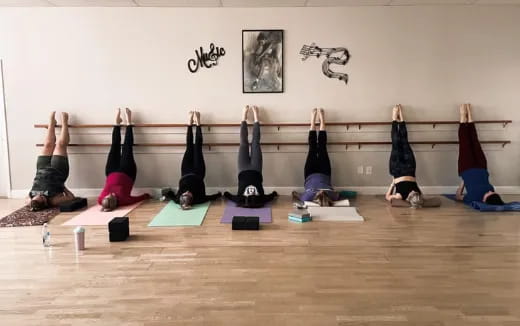 a group of people doing yoga