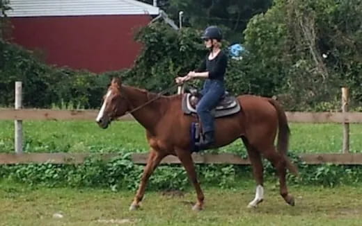 a person riding a horse