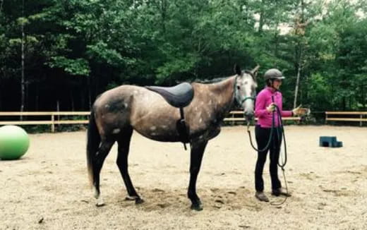 a person standing next to a horse