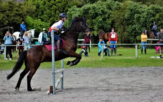 a person riding a horse