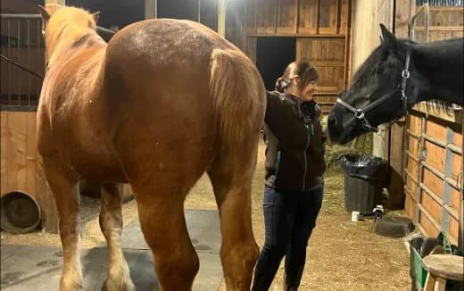 a person standing next to a horse