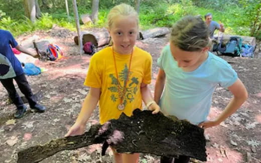 a few children playing with a tree stump