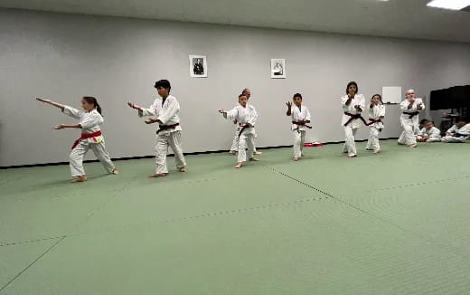 a group of people in karate uniforms
