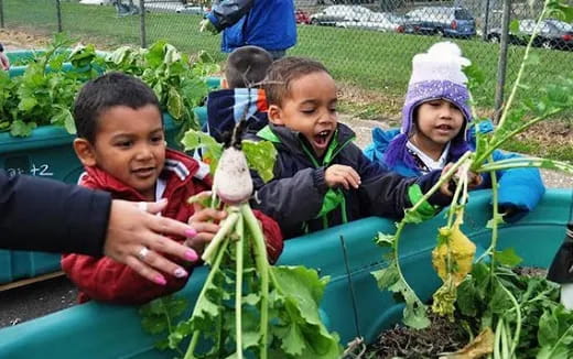 a group of children in a plastic tub with plants