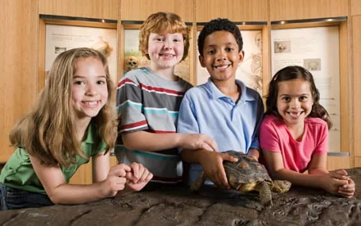 a group of people holding a turtle
