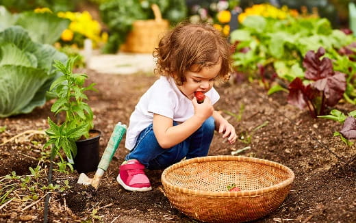 a baby playing in a garden