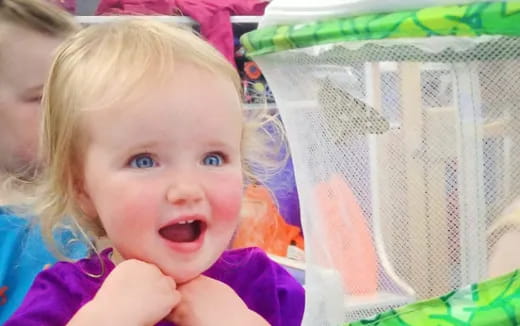 a baby in a shopping cart