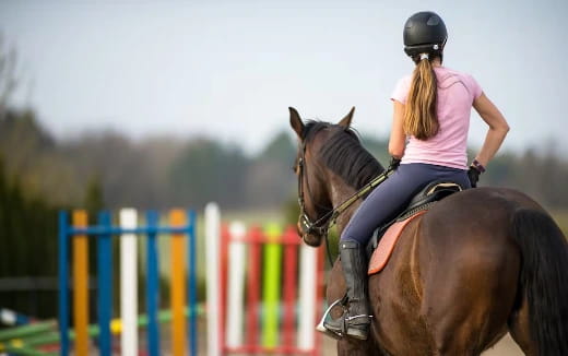 a person riding a horse