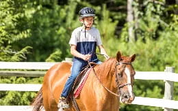 a person riding a horse