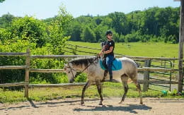 a person riding a horse