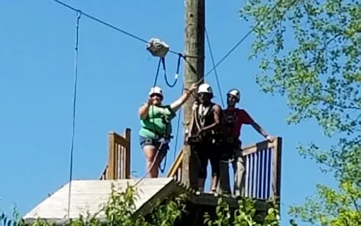 a group of men on a tree