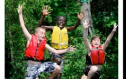 a group of people in a tree