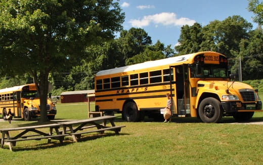 a couple of school buses parked in a grassy field