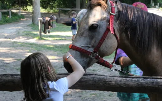 a girl petting a horse