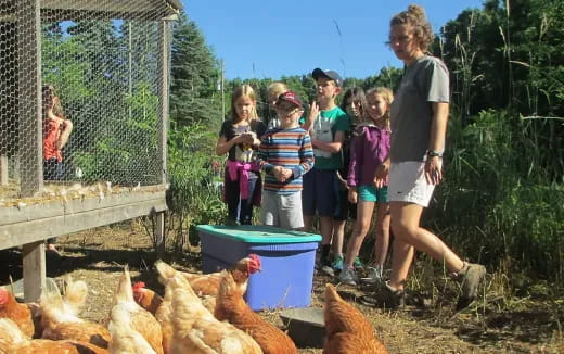 a group of people standing next to chickens in a cage