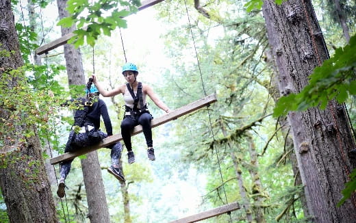 a man climbing a tree