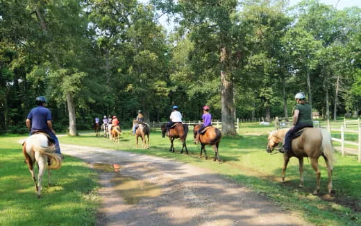 people riding horses on a path