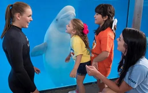 a group of girls standing next to each other