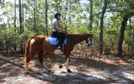 a man riding a horse