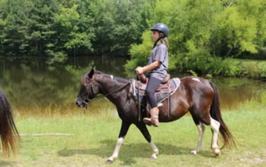 a person riding a horse