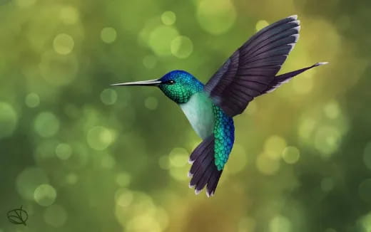 a bird flying in the air