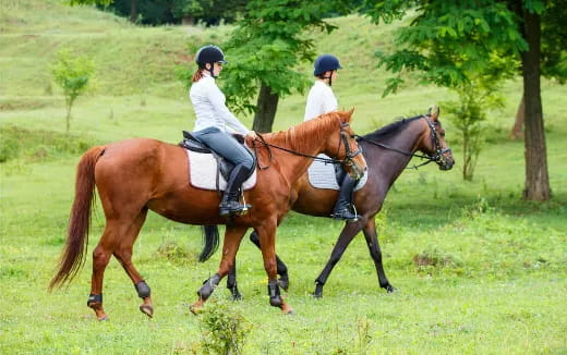 a couple of people riding horses