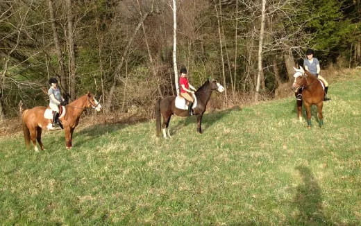 a group of people riding horses