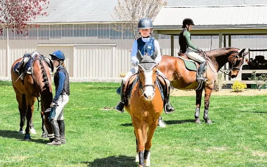 a group of people riding horses