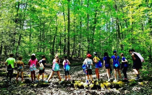 a group of people standing in a forest