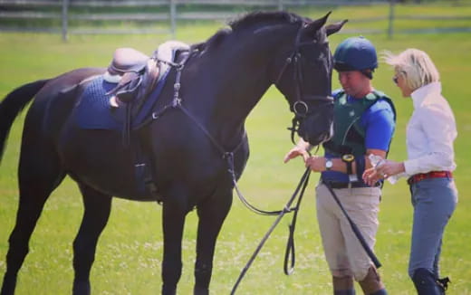 a person leading a horse