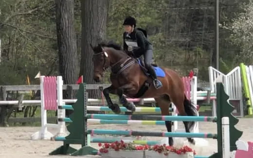 a person riding a horse