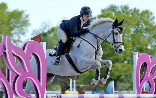 a person riding a horse