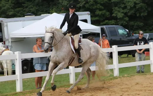 a person riding a horse