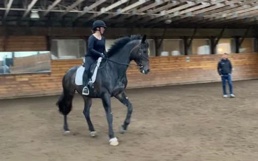 a person riding a horse in a arena