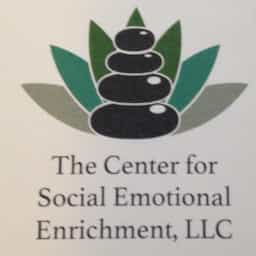 The Center for Social Emotional Enrichment, LLC logo