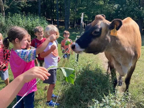 a group of children stand around a cow