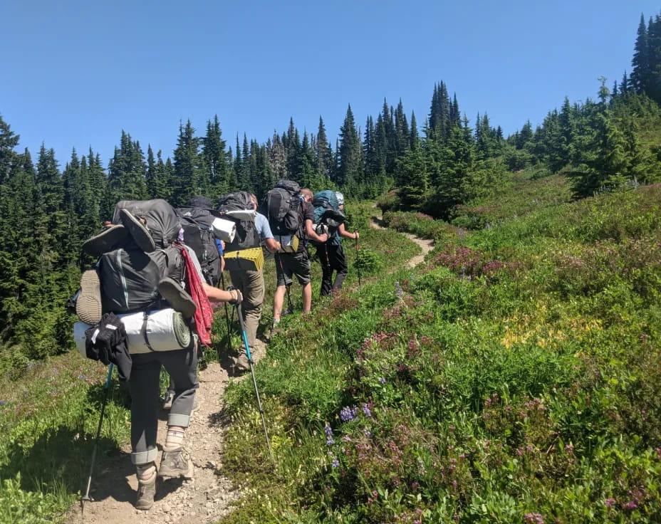 a group of hikers hiking