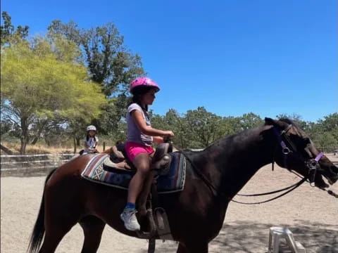 a person riding a horse