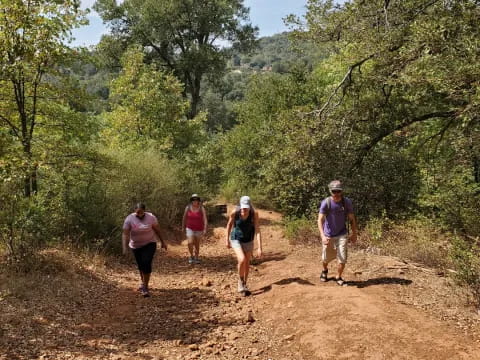 a group of people walking on a dirt path in the woods