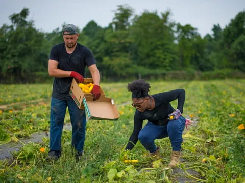 a few people working in a field