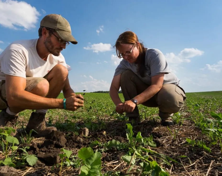 a man and woman in a field