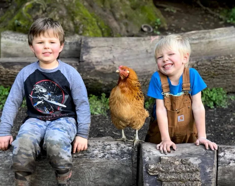 a couple of children sitting on a log with a chicken in the background