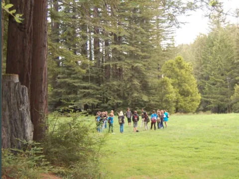 a group of people walking on a path in a forest