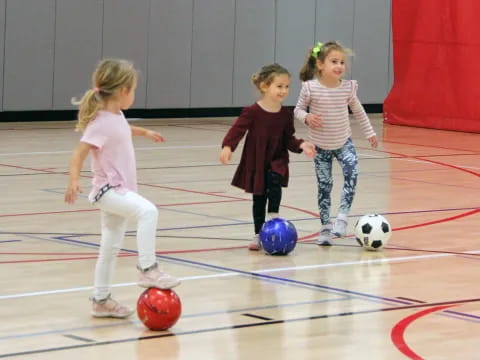 a group of children playing with balls