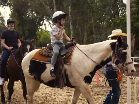 a person riding a horse