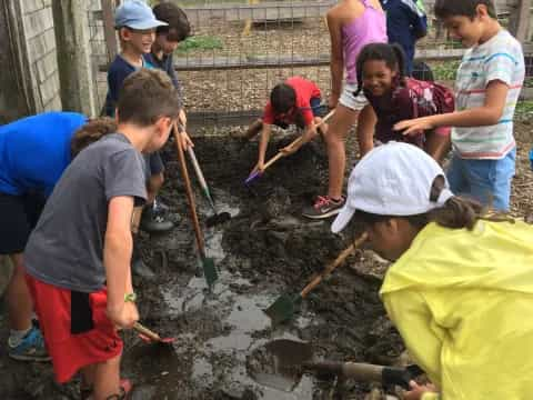 a group of people digging in the dirt