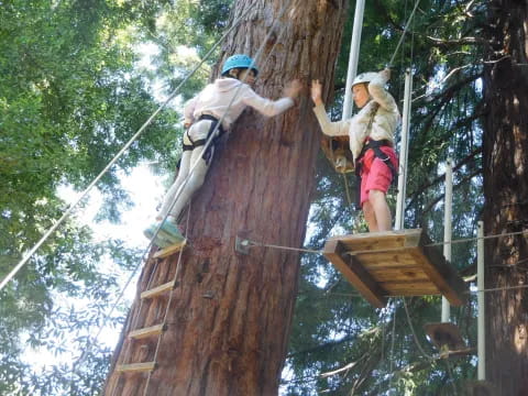 a couple of people climbing a tree