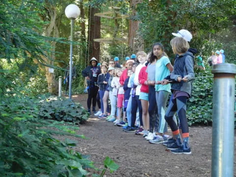 a group of people standing on a path in the woods