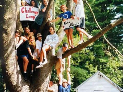 a group of people in a tree